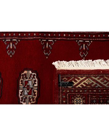 Pakistan Buchara 2 Ply 78x197cm
