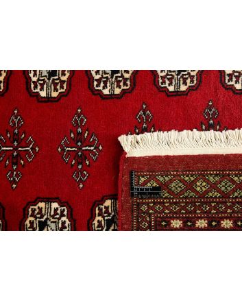 Pakistan Buchara 2 Ply 168x248cm
