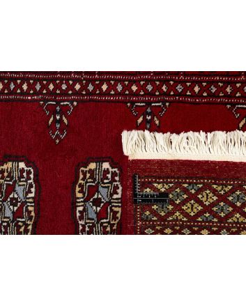 Pakistan Buchara 2 Ply 78x298cm