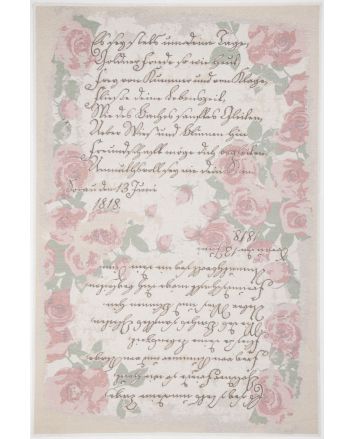 FLOMI Paris 250 rose