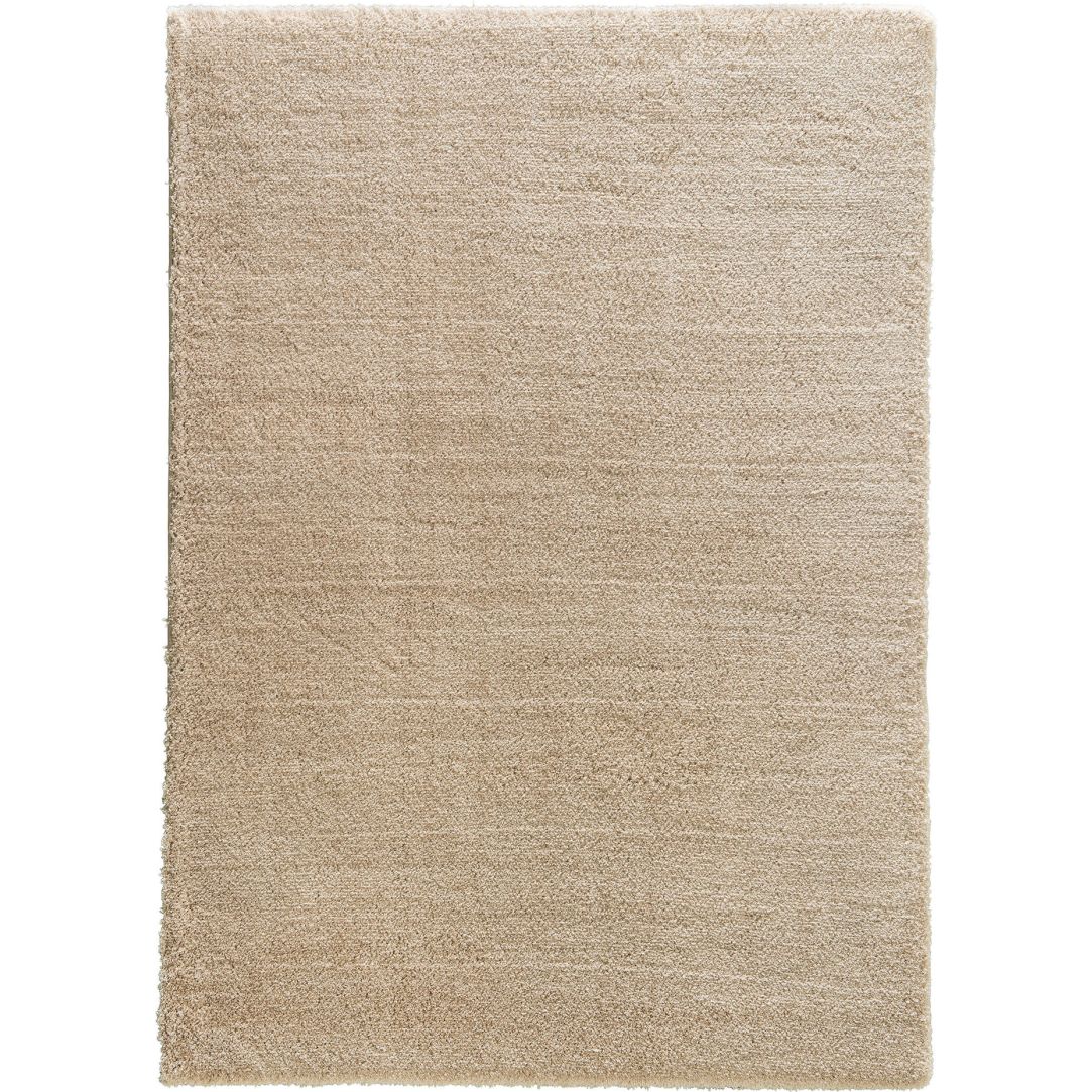 Salerno D. 200 C. 062